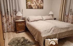 APARTAMENTY SIELSKIE - Nowe Apartamenty z prywatnym ogrodem i BILETEM NA BASEN GRATIS
